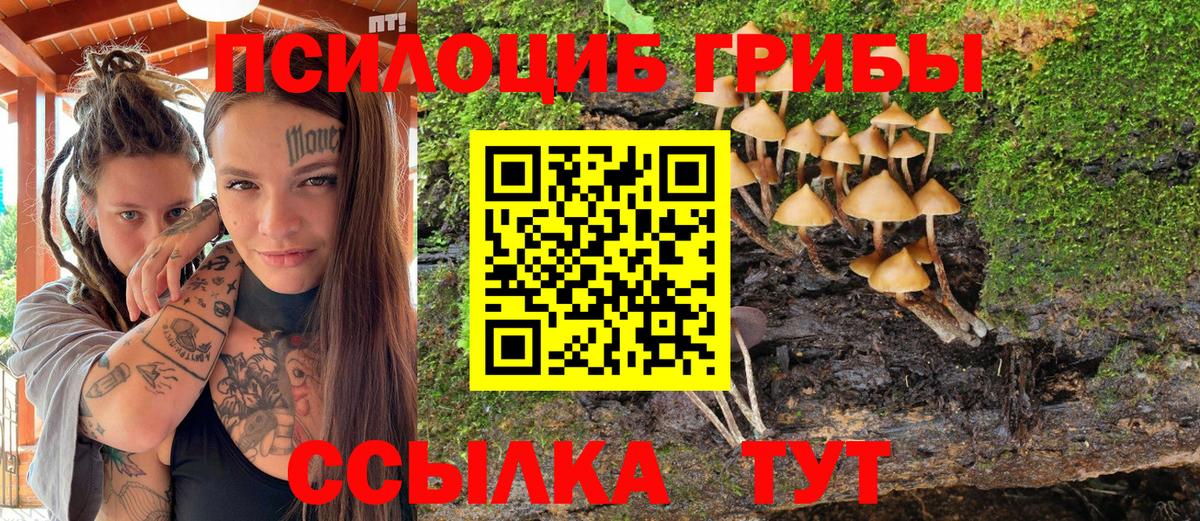 Конаково  цена наркотик  Вход с VPN  Псилоцибиновые грибы ЛСД 